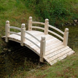 Foot Bridge 