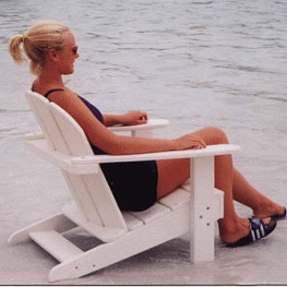 Beach Chair